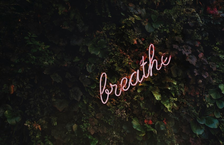 breathe sign surrounded by greenery